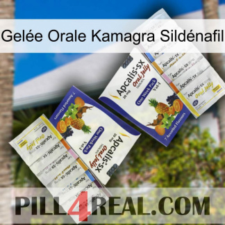 Gelée Orale Kamagra Sildénafil 12